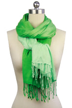 Load image into Gallery viewer, Citlali Ombre Fringed Scarf